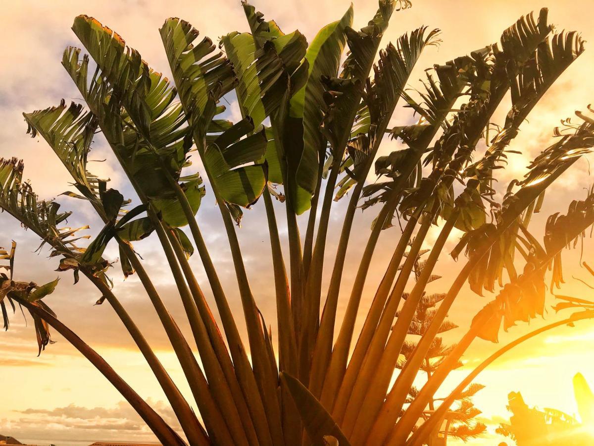 Villa Moai 974 サン・ル エクステリア 写真