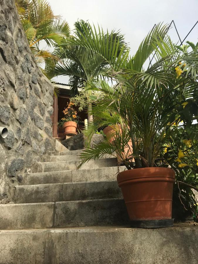 Villa Moai 974 サン・ル エクステリア 写真